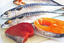 Tuna, Sardine and Mackerel
